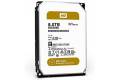 WD Gold Datacenter 8003FRYZ