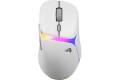 Glorious Model D 3 Wireless Vit