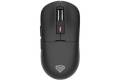 Genesis Zircon 660