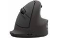 Fellowes Ergonomic Mouse Large Right