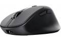 Trust Zevo mouse
