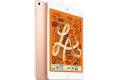 Apple iPad mini 5 (2019) Wi-Fi 64GB Gold (MUQY2KN/A)