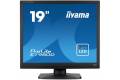 19" iiyama ProLite E1980D-B1