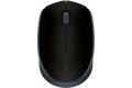 Logitech M170 910-004940 Black RF Wireless Mouse