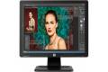 HP 17" ProDisplay P17A
