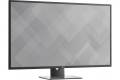 Dell 43" 4K LED P4317Q
