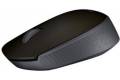 Logitech M170