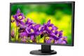 NEC 24" E243WMI-WH