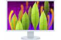 Eizo Flexscan Ev2216wfs3-gy 22" 1680 X 1050 16:10