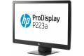 HP 21" ProDisplay P223A