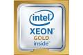 Intel Xeon Gold 5115 OEM