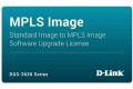 D-Link MPLS Image