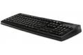 Acer tastatur