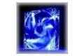 Thermaltake Pure 12