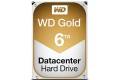 WD Gold Datacenter 6002FRYZ